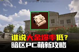 暗区突围：爆率低？40万大金轻轻松，暗区PC版萌新攻略视频封面
