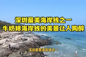 深圳最美海岸线之一，牛奶排海岸线的美景让人陶醉视频封面