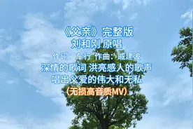 《父亲》完整版 刘和刚原唱 无损高音质MV  唱出父爱的伟大和无私