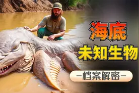 六大深海巨兽：体长15米专吃鲸鱼的海怪，谁才是海洋霸主？视频封面