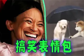 爆笑解说：分享那些你用得上的表情包！