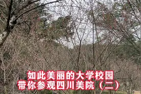如此美丽的大学校园——带你参观四川美院（二）