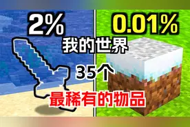 我的世界：35个最稀有的物品
