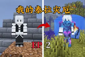 【我的泰拉灾厄】根本不掉血！！！