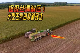 高效！大型收割机收割玉米：百亩农田一天搞定！现代化机械真给力