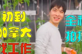 IT小伙刚到加拿大，就去农场找能移民的工作：居然是真实发生的！视频封面