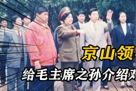 1995年，京山领导给毛主席之孙介绍对象，毛新宇：我只有三个条件视频封面