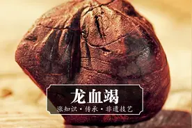 老人七天七夜不睡觉，只为炮制出传说中的“龙血竭”视频封面