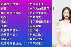 经典歌曲【47分钟】2024最火歌曲dj快手版伤感慢摇串