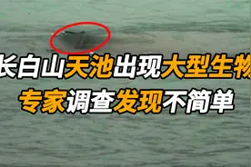 长白山天池出现大型生物，多人拍下视频画面，专家调查发现不简单视频封面