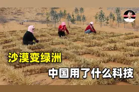 毛乌素沙漠将从中国地图抹去，但它真消失了吗？只是暂时被束缚住视频封面