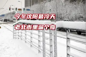 今冬沈阳最冷的一天，气温突破零下20℃，去老北市遛个弯儿视频封面