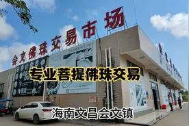 菩提子，星月佛珠；海南文昌会文镇，全国专业佛珠集散地