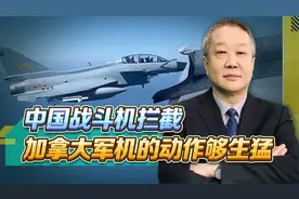 歼-10S近身拦截加拿大军机，苏-30MKK也在场，场面非常惊险视频封面