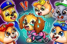 汪汪队：汪汪队加入新成员，天天感觉被冷落好伤心，到底咋回事