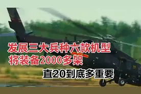 发展三大兵种六款机型，将装备2000多架，直20到底多重要。