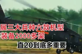 发展三大兵种六款机型，将装备2000多架，直20到底多重要。视频封面