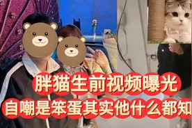 胖猫生前视频曝光，自嘲自己像笨蛋惹网友心疼：他其实什么都知道视频封面