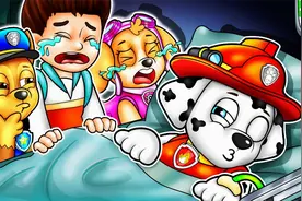 汪汪队动画：毛毛成为巡逻队队长，出动救援任务为救伙伴受伤！