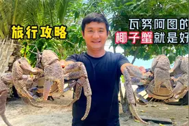 《瓦努阿图》第22集：这里的椰子蟹好抓又好吃，一只都好几斤重视频封面