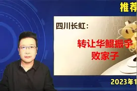 四川长虹：转让华鲲振宇，败家子！视频封面