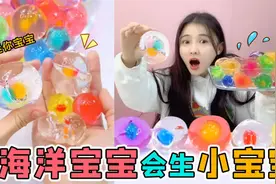 海洋宝宝能生“小宝宝”？放在阳台泡水一个月，竟然真生出了宝宝