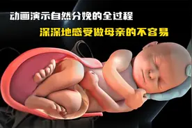 动画演示自然分娩的全过程，深深地感受做母亲的不容易视频封面