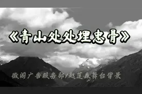 《青山处处埋忠骨》朗诵背景，有需要+15160121160视频封面