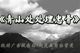 《青山处处埋忠骨》朗诵背景，有需要+15160121160视频封面