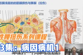 胸腰筋膜浅层筋膜损伤与撕裂，是急性腰扭伤病因之一，听李医生说视频封面