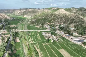 黄土高坡已经不是一片荒芜，现在的陕北让你刮目相看，景色绝美！