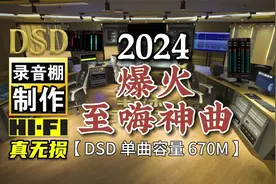 2024爆火至嗨神曲，感觉人生已到巅峰！DSD完整版