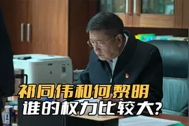 《狂飙》祁同伟和何黎明，谁的权力比较大？别忘了他是公安厅长视频封面