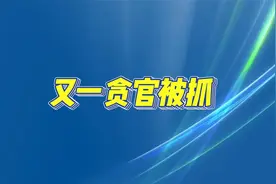 刘文新涉嫌贪污受贿案：权力的腐蚀与廉政的重要性视频封面