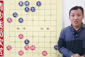 象棋可是游戏，别用来气人呀！双车双马，居然都不能动