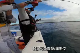 三大探鱼器品牌推荐，让您轻松选购满意的产品，佳明艾尼可在列