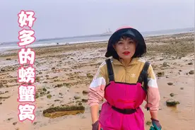 沙滩上出现密密麻麻的好多螃蟹！猫眼螺也是络绎不绝！收获颇丰！视频封面