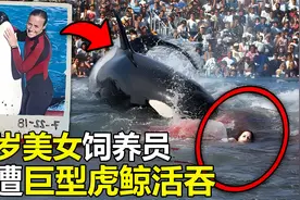 29岁美女饲养员，惨遭“巨型虎鲸”活吞，鲜血染红整个海洋馆视频封面