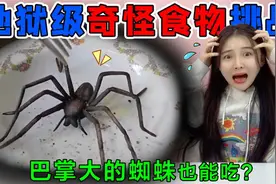 地狱级奇怪食物挑战！巴掌大的“蜘蛛”也能吃？一口下去竟超酥脆视频封面