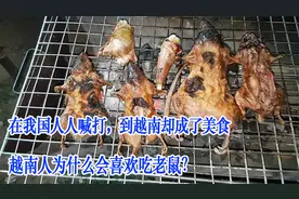在我国人人喊打，到越南却成了美食，越南人为什么会喜欢吃老鼠？视频封面