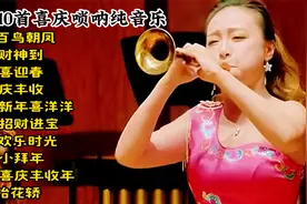 精选10首喜庆唢呐纯音乐，迎春纳福必听金曲，龙马精神财源广进！