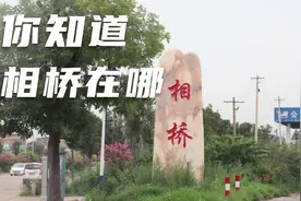 相桥街道是临潼区最远的一个乡镇，名字来源于相桥桥名~视频封面
