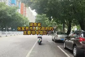 湖南省张家界市人民政府的主要领导简介视频封面