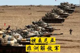 东非版解放军：坦桑尼亚军，拳打暴君阿明，脚踢万王之王卡大佐