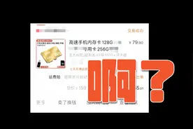 70多元买512G的TF卡 Micro SD卡？我反正又被坑了！视频封面