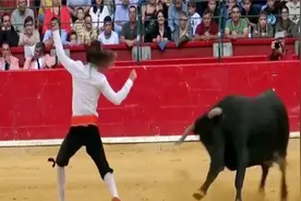 恐怖的西班牙斗牛惊险瞬间，挑衅公牛被虐惨，场面一度失控