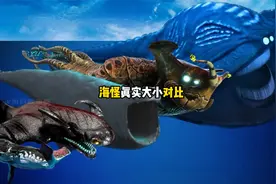你知道海怪真实大小有多吓人吗视频封面