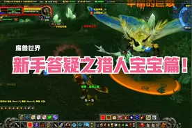 新手答疑之猎人宝宝篇！魔兽世界视频封面