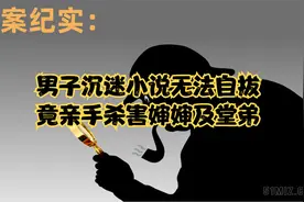男子沉迷小说无法自拔，竟亲手杀害婶婶及堂弟