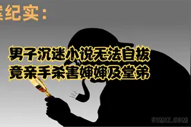 男子沉迷小说无法自拔，竟亲手杀害婶婶及堂弟